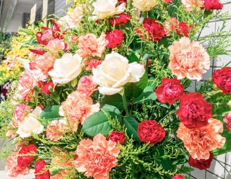 アイドルまとめ速報 ドル速(最新記事2)