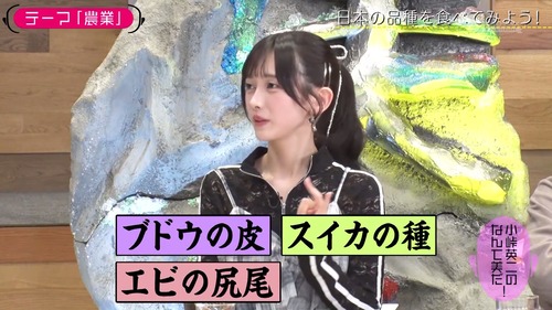 アイドルまとめ速報 ドル速(最新記事2)