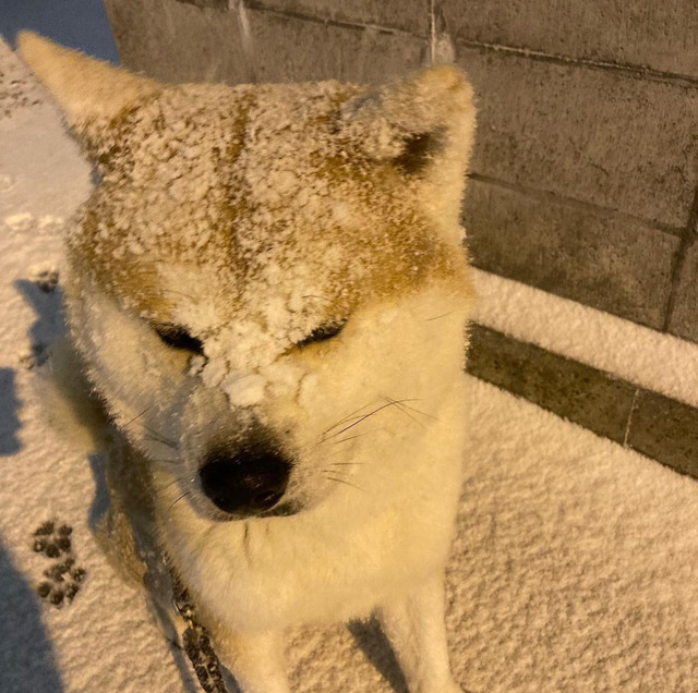 アイドルまとめ速報 ドル速(画像03011854888858_5) アイドルまとめ速報 ドル速(画像03011854888858_5)