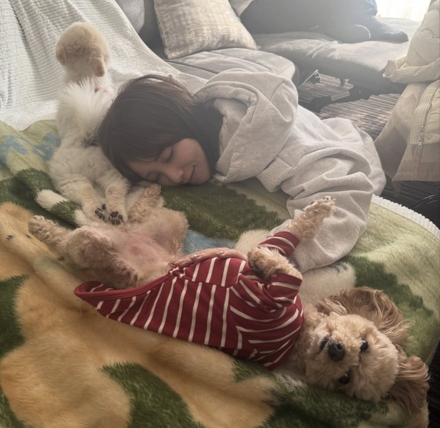 アイドルまとめ速報 ドル速(最新記事14)