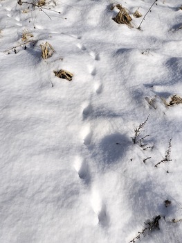 アイドルまとめ速報 ドル速(画像11201336644940_3) アイドルまとめ速報 ドル速(画像11201336644940_3)