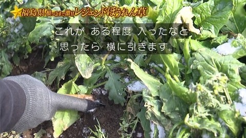 アイドルまとめ速報 ドル速(画像31194829092693_11)