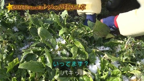 アイドルまとめ速報 ドル速(画像31194832508103_18)