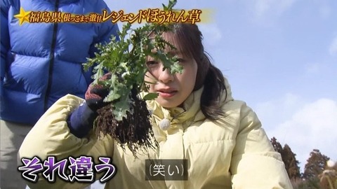 アイドルまとめ速報 ドル速(画像31194833952843_21)