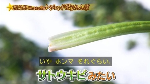 アイドルまとめ速報 ドル速(画像31194845354727_45)