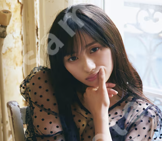 うめかきが入ってきた瞬間に不安になる唐沢寿明さんｗ【乃木坂46】
 | アイドルまとめ速報 ドル速(ピックアップ3)