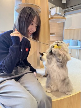 猫をいじる渡辺莉奈さん、すごい表情をしてしまうwwwwww | 猫をいじる渡辺莉奈さん、すごい表情をしてしまうwwwwww | アイドルまとめ速報 ドル速(画像11004542526378_2)