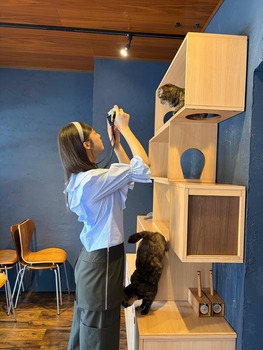 【速報】冨里奈央さん、最新のお尻wwwwwwwwww | 【速報】冨里奈央さん、最新のお尻wwwwwwwwww | 【速報】冨里奈央さん、最新のお尻wwwwwwwwww | アイドルまとめ速報 ドル速(画像15201856802280_3)