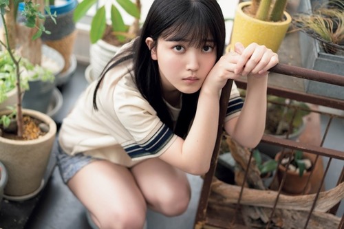 【朗報】櫻4期、こうやって見ると良い【画像あり】
 | アイドルまとめ速報 ドル速(ピックアップ3)